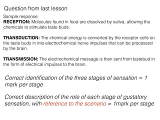 Question from last lesson
Sample response:
RECEPTION: Molecules found in food are dissolved by saliva, allowing the
chemic...