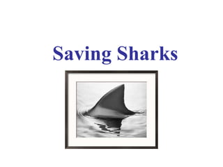 Saving Sharks 