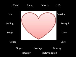 Blood Pump Muscle Life
Red Emotions
Feeling Strength
Body Love
Centre Care
Organ Courage Bravery
Sincerity Determination
 
