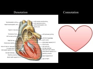Denotation Connotation
 