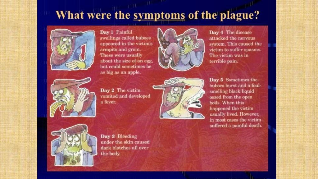 Lesson 6 signs and symptoms of the black death