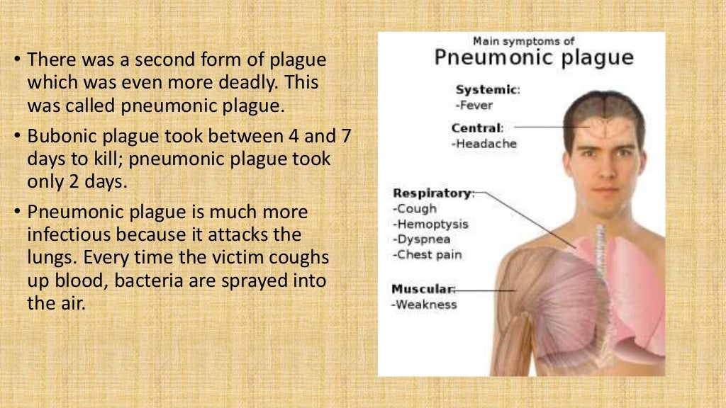 Lesson 6 signs and symptoms of the black death