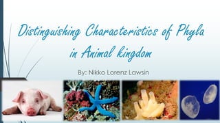 Distinguishing Characteristics of Phyla
in Animal kingdom
By: Nikko Lorenz Lawsin
 