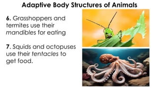 BODY PARTS OF ANIMALS THAT HELP THEM SURVIVE .pptx