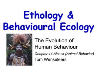 The Evolution of
Human Behaviour
Chapter 14 Alcock (Animal Behavior)
Tom Wenseleers
Ethology &
Behavioural Ecology
 