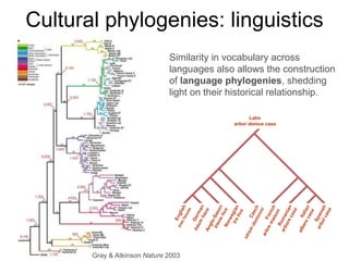 Cultural phylogenies: linguistics
Gray & Atkinson Nature 2003
Similarity in vocabulary across
languages also allows the construction
of language phylogenies, shedding
light on their historical relationship.
Latin
arbor domus casa
 