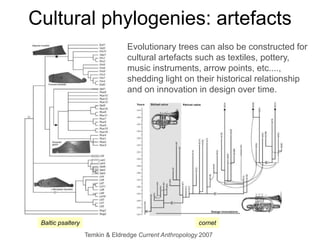 Cultural phylogenies: artefacts
Temkin & Eldredge Current Anthropology 2007
Evolutionary trees can also be constructed for
cultural artefacts such as textiles, pottery,
music instruments, arrow points, etc....,
shedding light on their historical relationship
and on innovation in design over time.
Baltic psaltery cornet
 