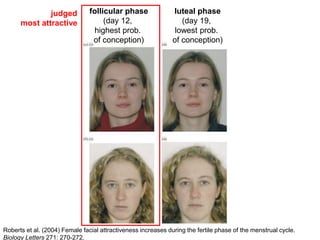 follicular phase
(day 12,
highest prob.
of conception)
luteal phase
(day 19,
lowest prob.
of conception)
Roberts et al. (2004) Female facial attractiveness increases during the fertile phase of the menstrual cycle.
Biology Letters 271: 270-272.
judged
most attractive
 