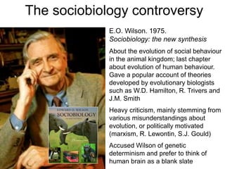 E.O. Wilson. 1975.
Sociobiology: the new synthesis
About the evolution of social behaviour
in the animal kingdom; last chapter
about evolution of human behaviour.
Gave a popular account of theories
developed by evolutionary biologists
such as W.D. Hamilton, R. Trivers and
J.M. Smith
Heavy criticism, mainly stemming from
various misunderstandings about
evolution, or politically motivated
(marxism, R. Lewontin, S.J. Gould)
Accused Wilson of genetic
determinism and prefer to think of
human brain as a blank slate
The sociobiology controversy
 