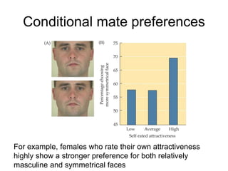 Conditional mate preferences
For example, females who rate their own attractiveness
highly show a stronger preference for both relatively
masculine and symmetrical faces
 