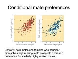 Conditional mate preferences
Similarly, both males and females who consider
themselves high ranking mate prospects express a
preference for similarly highly ranked mates.
 