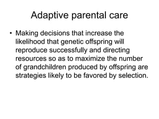 Adaptive parental care
• Making decisions that increase the
likelihood that genetic offspring will
reproduce successfully and directing
resources so as to maximize the number
of grandchildren produced by offspring are
strategies likely to be favored by selection.
 