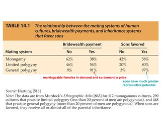 marriageable females in demand and so demand a price
sons have much greater
reproductive potential
 