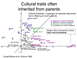 Cultural traits often
inherited from parents
Cavalli-Sforza et al. Science 1982
Religion often inherited from mother
High cultural heritability
Cultural heritability = regression of culturally determined
trait in offspring on trait in parents
 