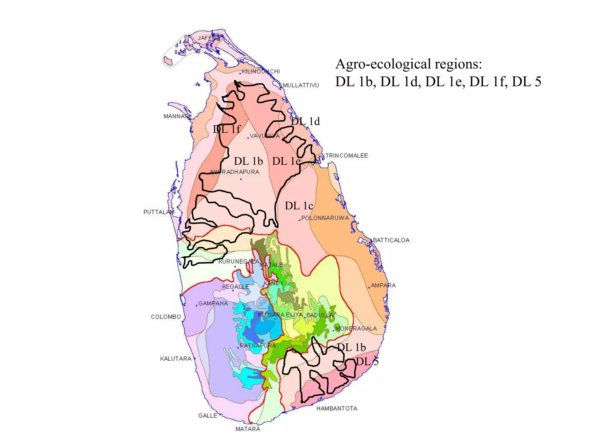 DL 1b DL 1e
DL 1f
DL 1c
DL 1b
DL 5
Agro-ecological regions:
DL 1b, DL 1d, DL 1e, DL 1f, DL 5
DL 1d
 