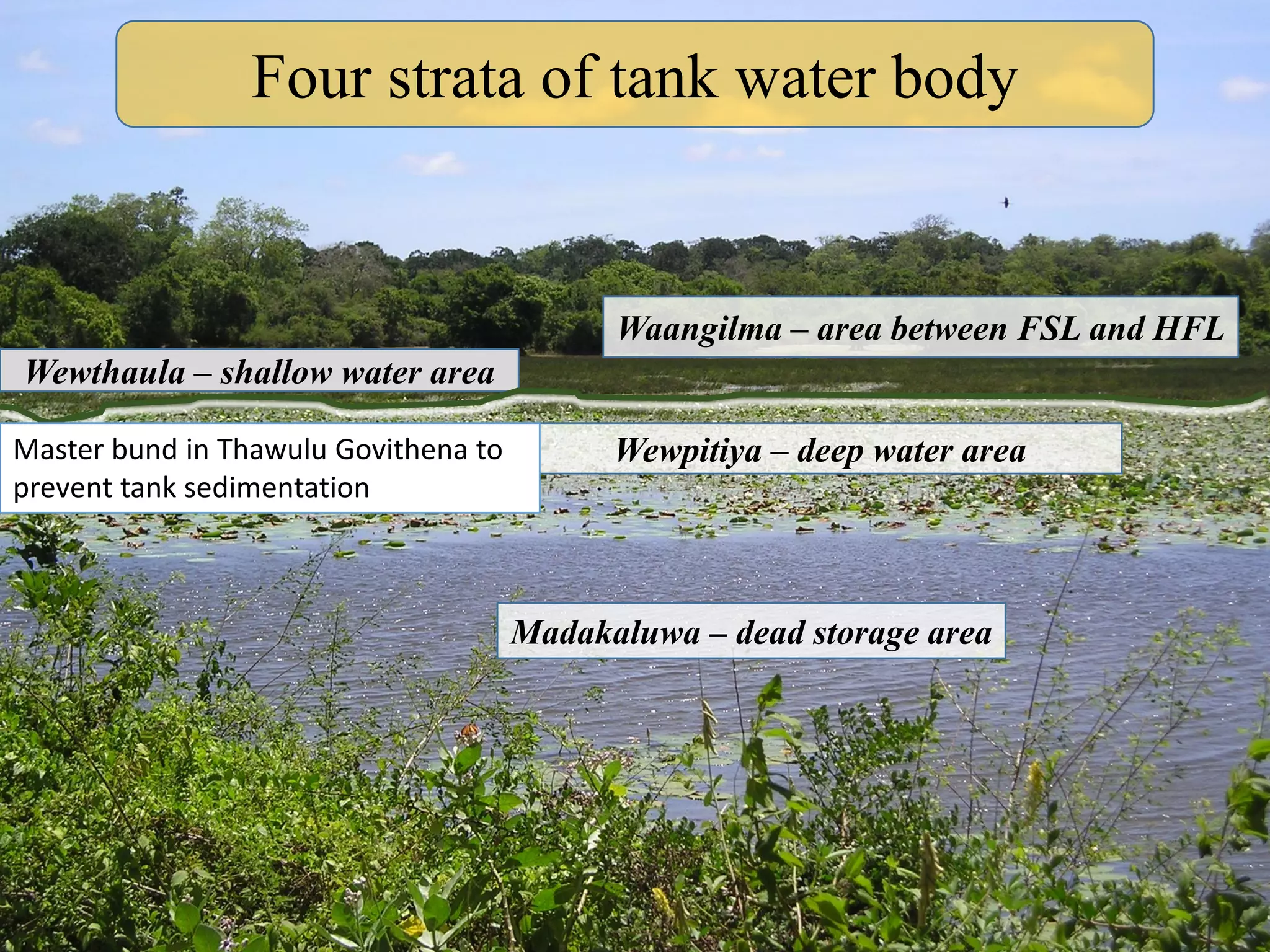 Four strata of tank water body
Madakaluwa – dead storage area
Wewpitiya – deep water area
Waangilma – area between FSL and HFL
Wewthaula – shallow water area
Master bund in Thawulu Govithena to
prevent tank sedimentation
 