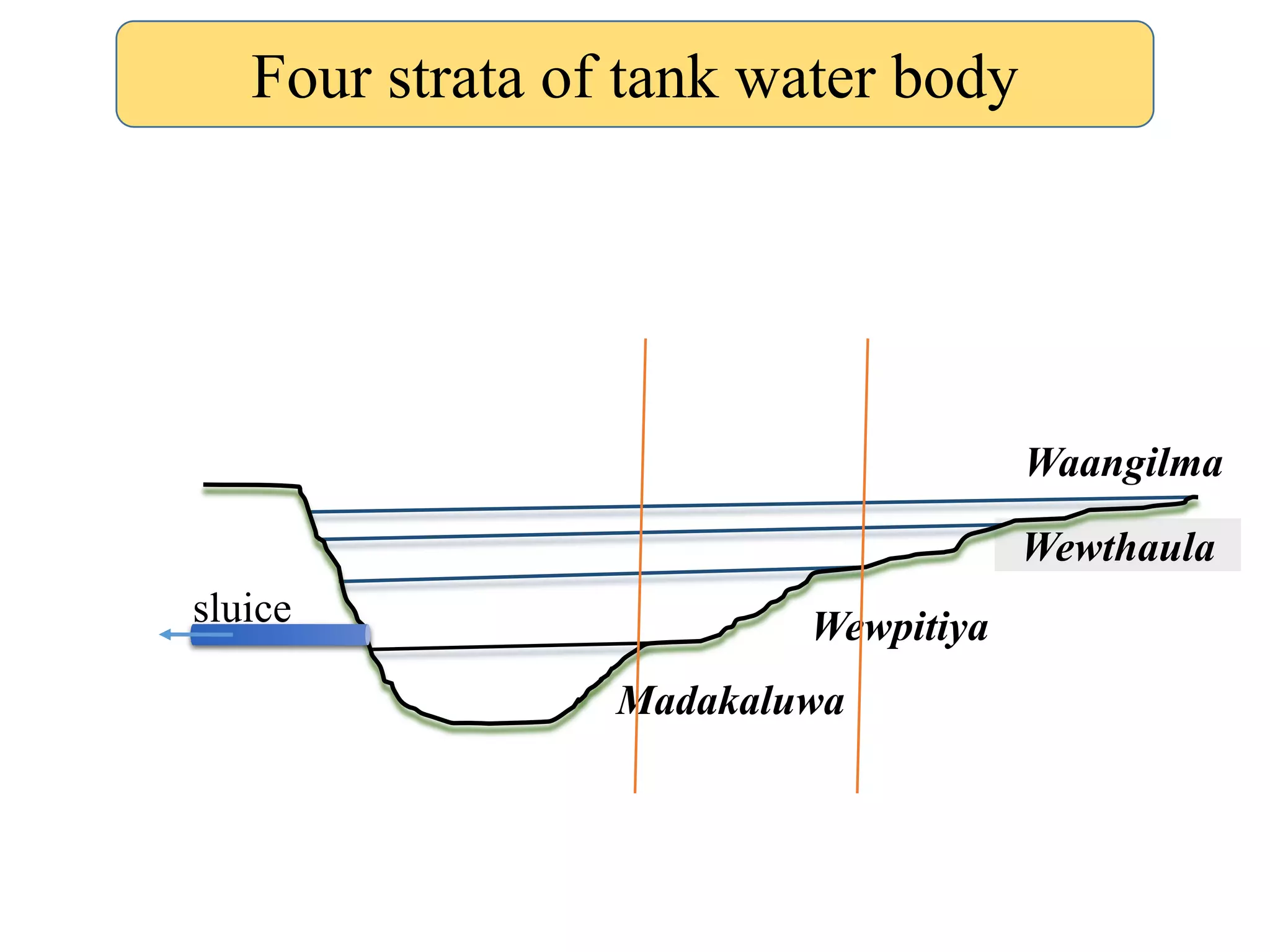 Waangilma
Wewthaula
Wewpitiya
Madakaluwa
sluice
Four strata of tank water body
 