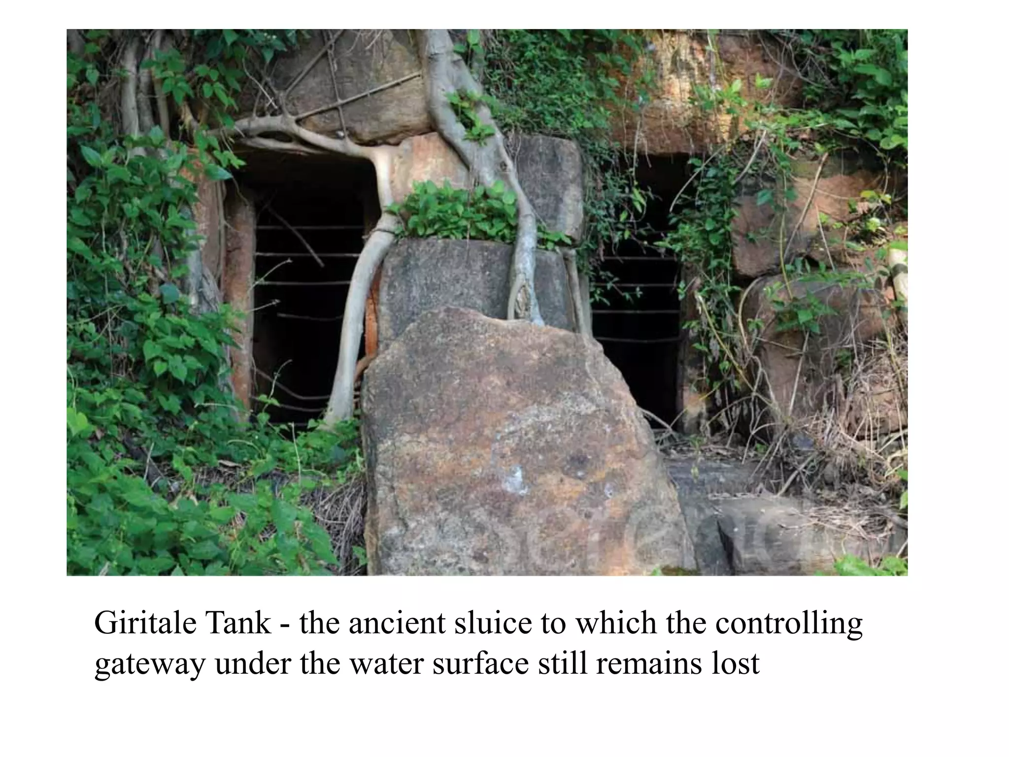 Giritale Tank - the ancient sluice to which the controlling
gateway under the water surface still remains lost
 
