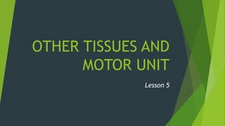 OTHER TISSUES AND
MOTOR UNIT
Lesson 5
 