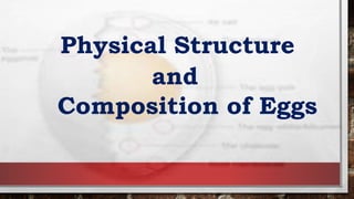 Physical Structure
and
Composition of Eggs
 