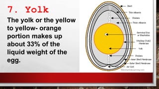 7. Yolk
The yolk or the yellow
to yellow- orange
portion makes up
about 33% of the
liquid weight of the
egg.
 