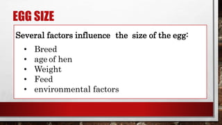 EGG SIZE
Several factors influence the size of the egg:
• Breed
• age of hen
• Weight
• Feed
• environmental factors
 