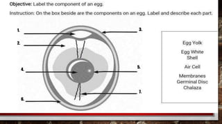 1. 3.
4.
2.
6.
5.
7.
 