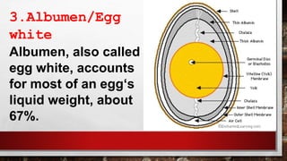 3.Albumen/Egg
white
Albumen, also called
egg white, accounts
for most of an egg‘s
liquid weight, about
67%.
 