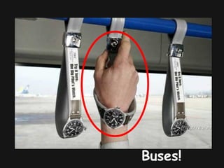Buses!
 