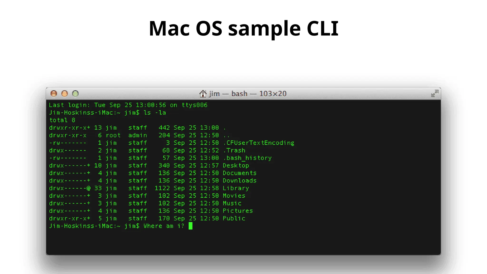 Mac OS sample CLI
 