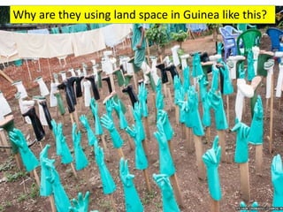 Why are they using land space in Guinea like this? 
 