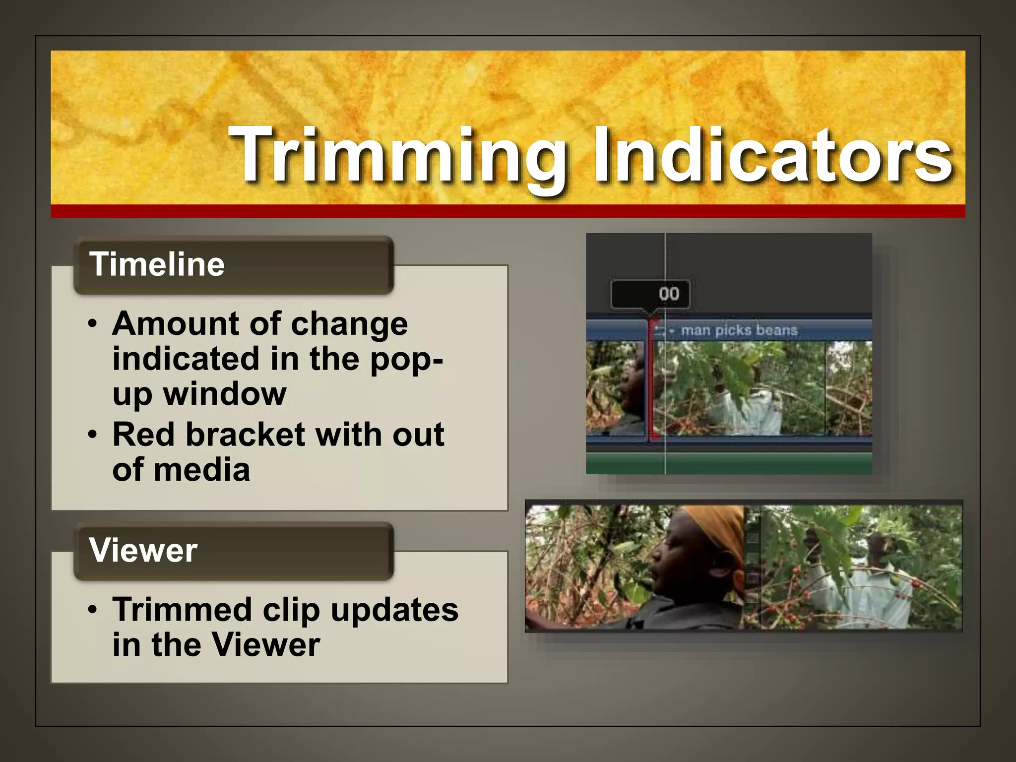 Trimming Indicators
• Amount of change
indicated in the pop-
up window
• Red bracket with out
of media
Timeline
• Trimmed clip updates
in the Viewer
Viewer
 