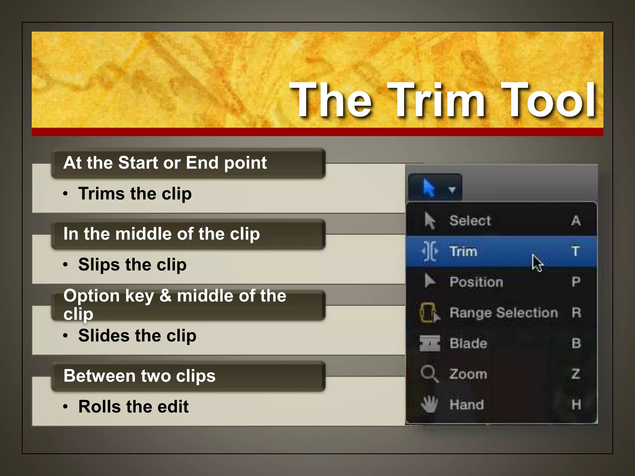 The Trim Tool
• Trims the clip
At the Start or End point
• Slips the clip
In the middle of the clip
• Slides the clip
Option key & middle of the
clip
• Rolls the edit
Between two clips
 
