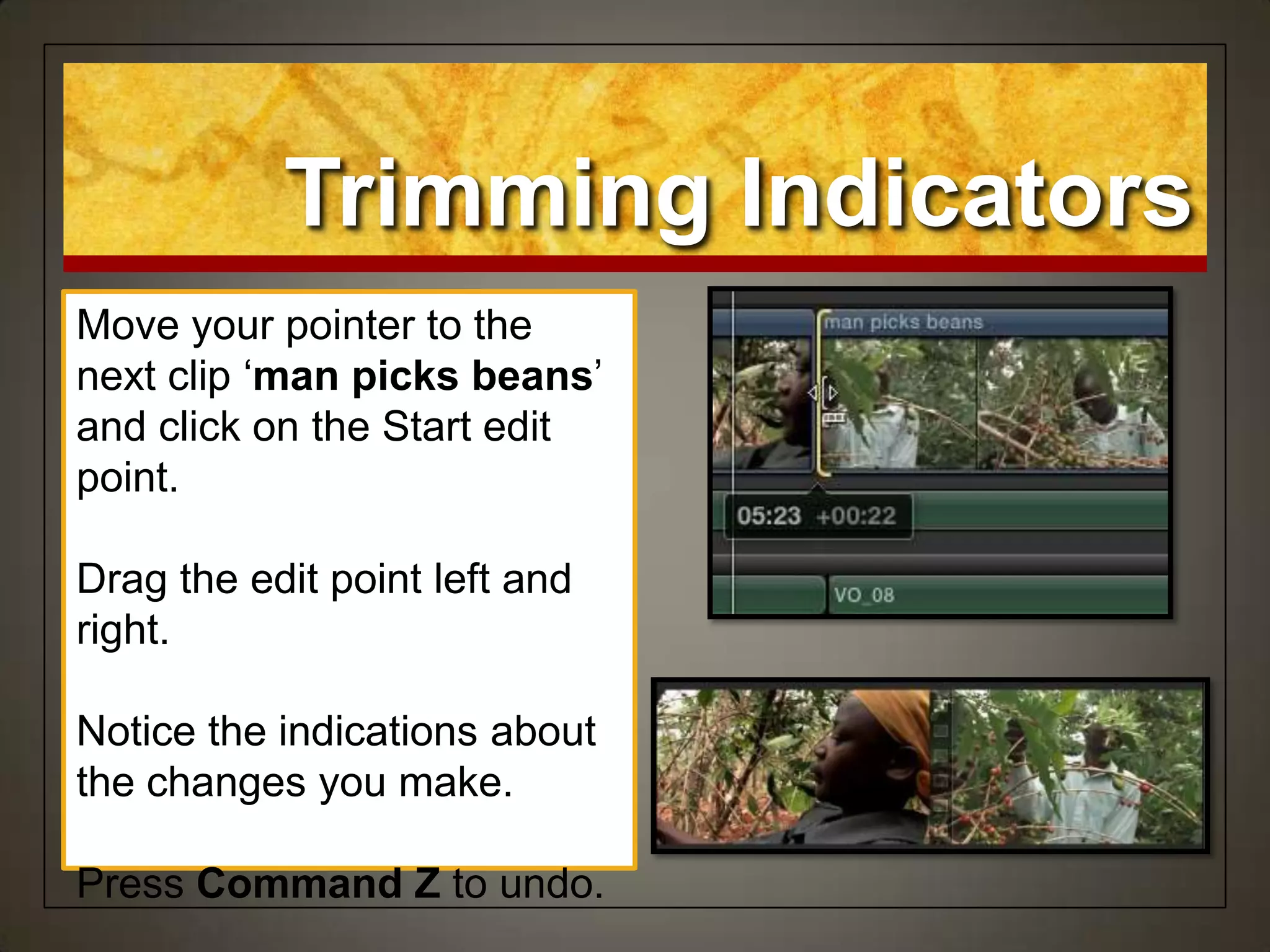 Trimming Indicators
Move your pointer to the
next clip „man picks beans‟
and click on the Start edit
point.
Drag the edit point left and
right.
Notice the indications about
the changes you make.
Press Command Z to undo.
 