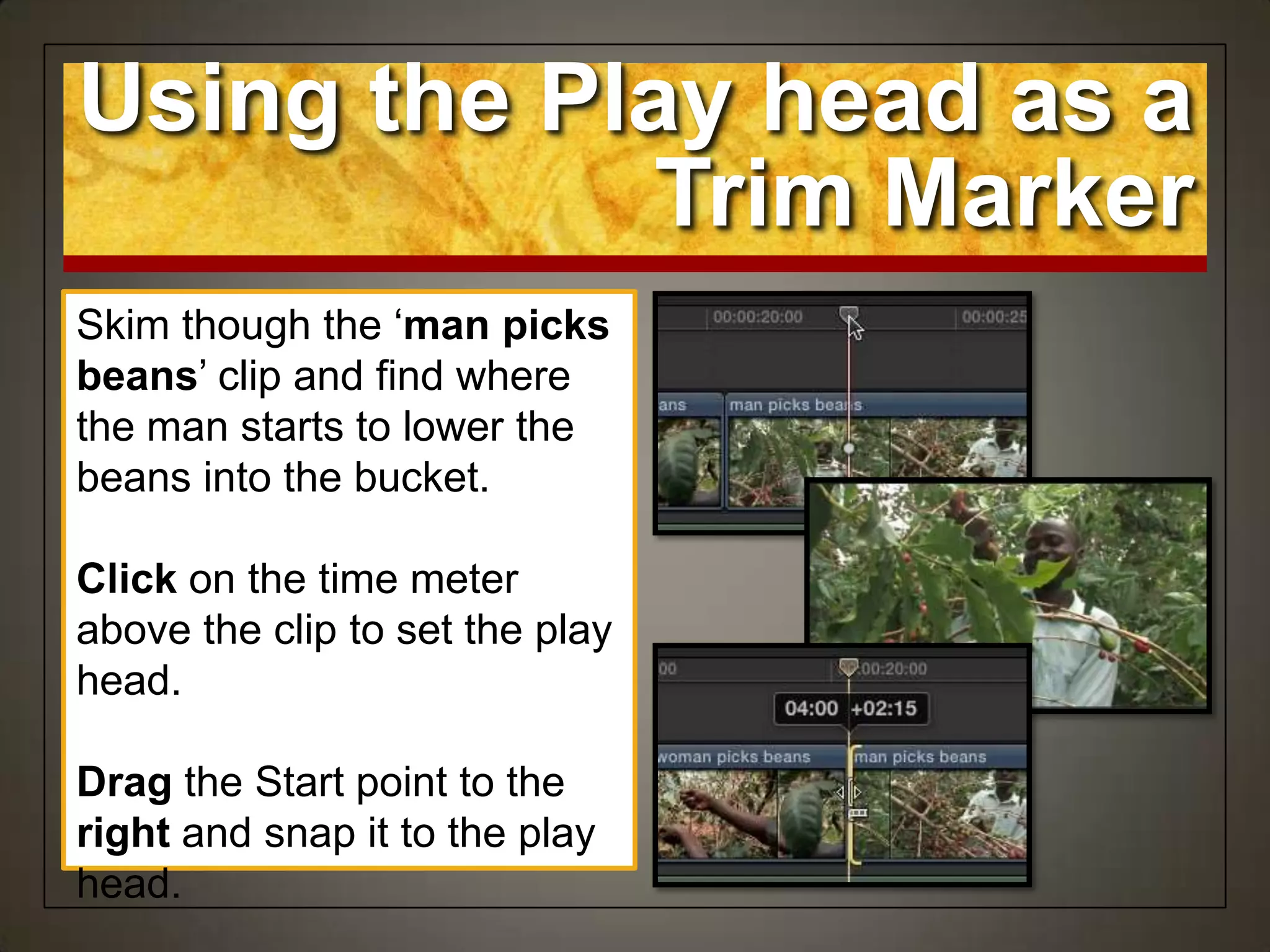 Skim though the „man picks
beans‟ clip and find where
the man starts to lower the
beans into the bucket.
Click on the time meter
above the clip to set the play
head.
Drag the Start point to the
right and snap it to the play
head.
Using the Play head as a
Trim Marker
 