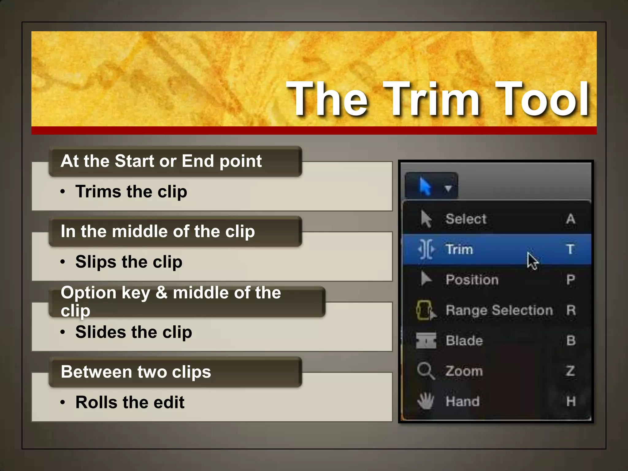 The Trim Tool
• Trims the clip
At the Start or End point
• Slips the clip
In the middle of the clip
• Slides the clip
Option key & middle of the
clip
• Rolls the edit
Between two clips
 