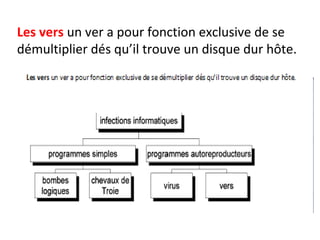 Les vers un ver a pour fonction exclusive de se 
démultiplier dés qu’il trouve un disque dur hôte. 
 