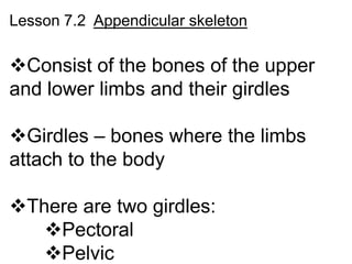 Lesson 7.2 Appendicular skeleton

Consist of the bones of the upper
and lower limbs and their girdles

Girdles – bones where the limbs
attach to the body

There are two girdles:
   Pectoral
   Pelvic
 