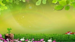 Courtesy and Polite Expressions