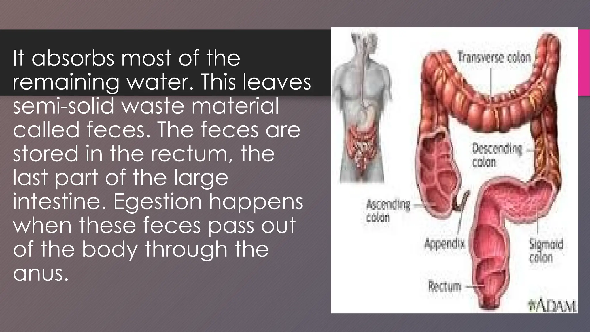 Lesson 7 - Changes in Food as it Undergoes Physical and [Autosaved].pptx