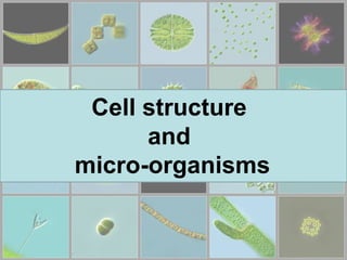 Cell structure
and
micro-organisms
 