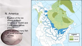 N. America
• Position of the ice
sheets in North
America at 10,000 and
7,000 years before
present
• This allowed many fish
to cross drainage
divides
 