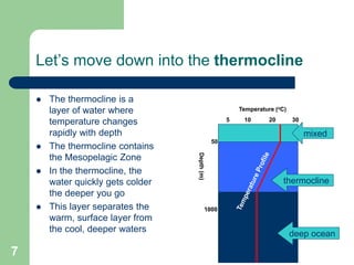 Let’s move down into the thermocline
 The thermocline is a
layer of water where
temperature changes
rapidly with depth
 The thermocline contains
the Mesopelagic Zone
 In the thermocline, the
water quickly gets colder
the deeper you go
 This layer separates the
warm, surface layer from
the cool, deeper waters
1000
50
Temperature (oC)
5 10 20 30
Depth(m)
thermocline
mixed
deep ocean
7
 
