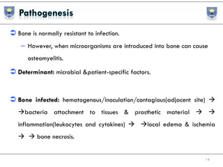  Bone is normally resistant to infection.
– However, when microorganisms are introduced into bone can cause
osteomyelitis.
 Determinant: microbial &patient-specific factors.
 Bone infected: hematogenous/inoculation/contagious(adjacent site) 
bacteria attachment to tissues & prosthetic material  
inflammation(leukocytes and cytokines)  local edema & ischemia
  bone necrosis.
16
 