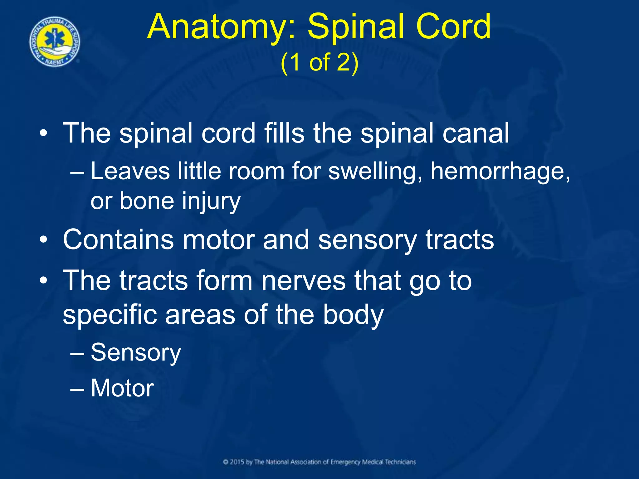 Anatomy: Spinal Cord
(1 of 2)
• The spinal cord fills the spinal canal
– Leaves little room for swelling, hemorrhage,
or bone injury
• Contains motor and sensory tracts
• The tracts form nerves that go to
specific areas of the body
– Sensory
– Motor
 