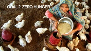GOAL2:ZERO HUNGER
 