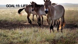 GOAL15: LIFEON LAND
 