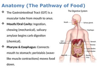 Lesson 7 GIT pathophysiology.pptx explained | PPTX