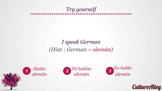 Bridging the language gap
I speak a little French
Hablo un poco de francés
 