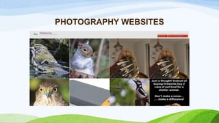 PHOTOGRAPHY WEBSITES
 